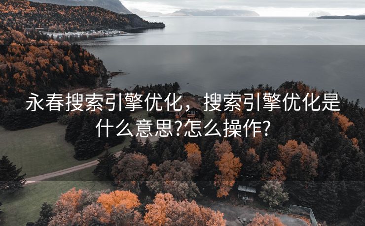 永春搜索引擎优化，搜索引擎优化是什么意思?怎么操作?