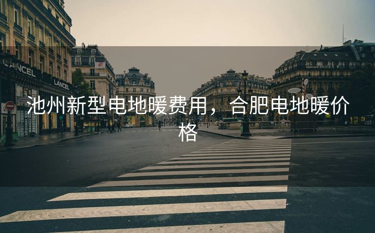 池州新型电地暖费用，合肥电地暖价格