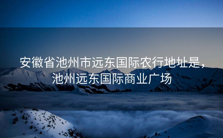 安徽省池州市远东国际农行地址是，池州远东国际商业广场