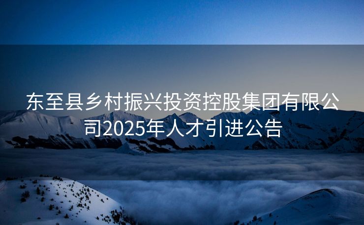 东至县乡村振兴投资控股集团有限公司2025年人才引进公告