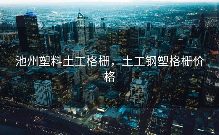 池州塑料土工格栅，土工钢塑格栅价格