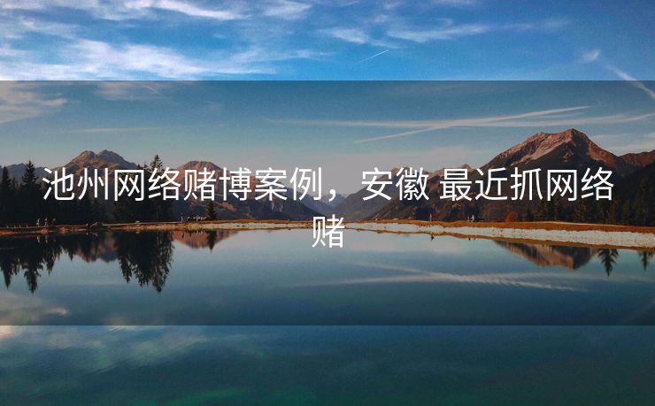 池州网络赌博案例，安徽 最近抓网络赌