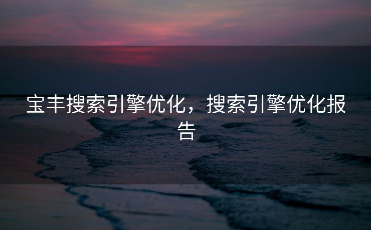 宝丰搜索引擎优化，搜索引擎优化报告