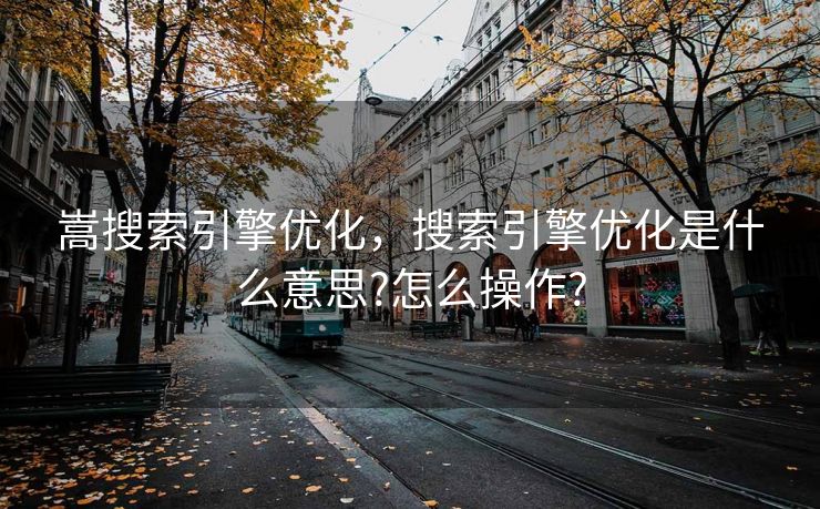 嵩搜索引擎优化，搜索引擎优化是什么意思?怎么操作?