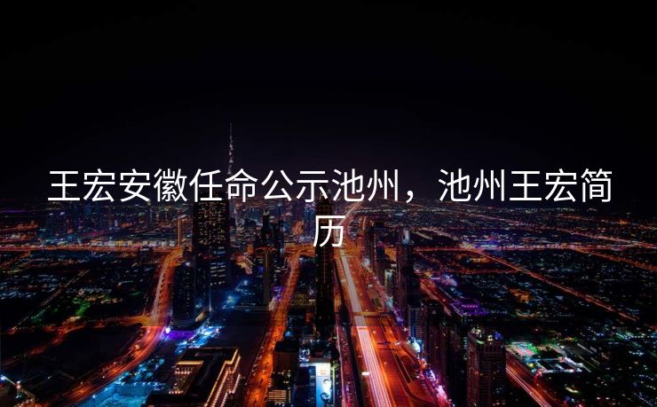 王宏安徽任命公示池州，池州王宏简历