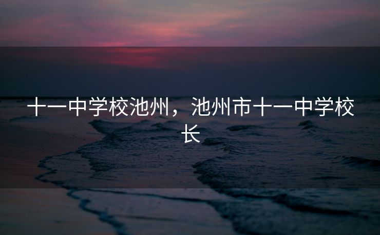 十一中学校池州，池州市十一中学校长