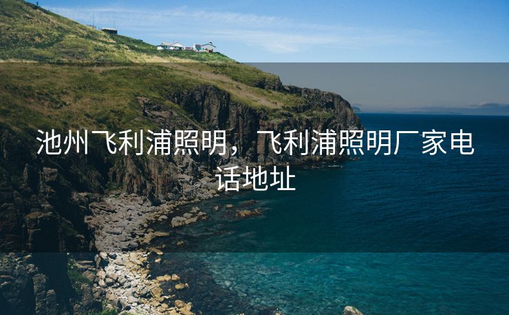 池州飞利浦照明，飞利浦照明厂家电话地址
