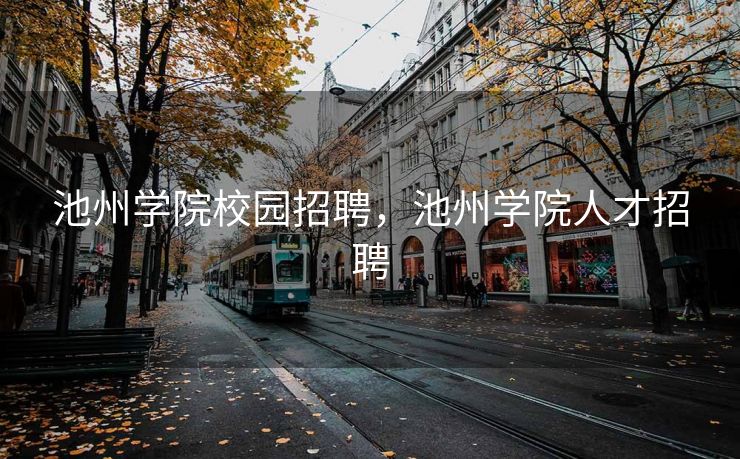 池州学院校园招聘，池州学院人才招聘