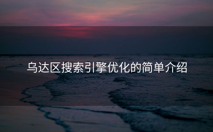 乌达区搜索引擎优化的简单介绍