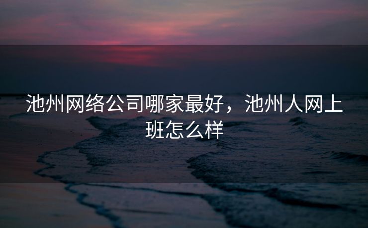 池州网络公司哪家最好，池州人网上班怎么样