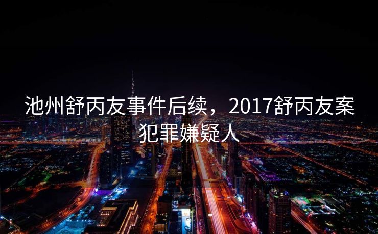 池州舒丙友事件后续，2017舒丙友案犯罪嫌疑人