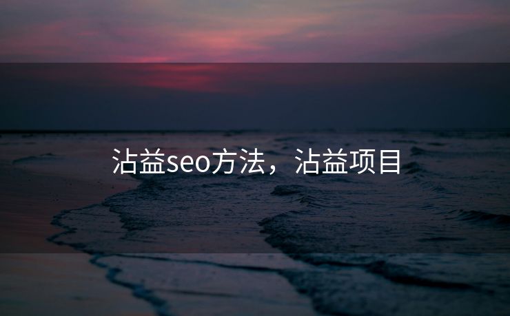 沾益seo方法，沾益项目