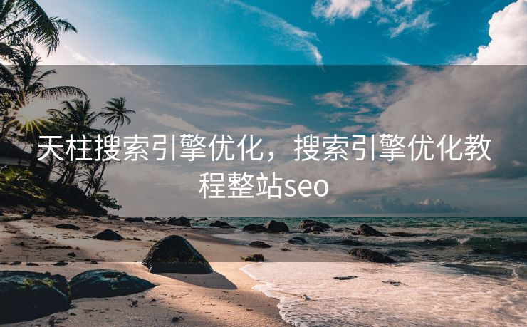 天柱搜索引擎优化，搜索引擎优化教程整站seo