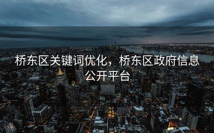 桥东区关键词优化，桥东区政府信息公开平台