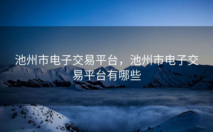 池州市电子交易平台，池州市电子交易平台有哪些