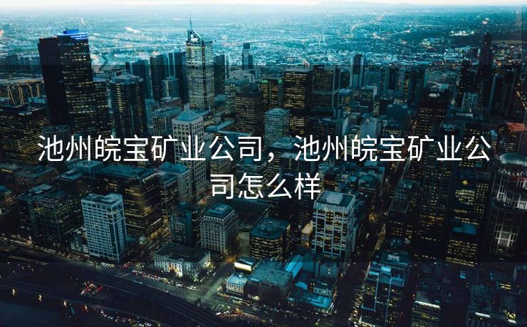 池州皖宝矿业公司，池州皖宝矿业公司怎么样