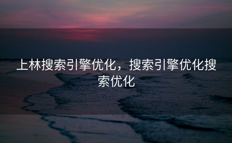 上林搜索引擎优化，搜索引擎优化搜索优化